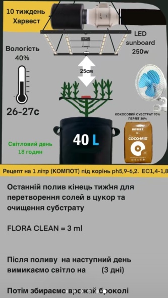 Подробное описание Таблица кормления COCO GROW/COCO BLOOM отзывы экспертов преимушества и недостатки Green Power