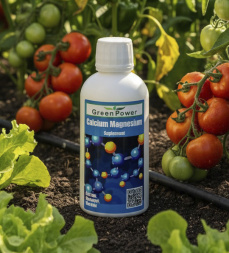 Calcium Magnesium / Кальций Магний