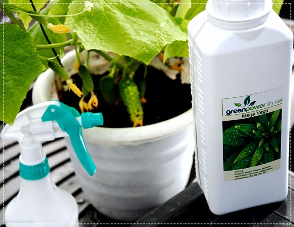 Купить Мега Вега / Mega Vega стимулятор роста для веги