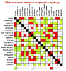 Совместимость культур