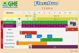 Flora Duo Bloom Green Power (250 мл)