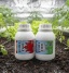 Coco Green Power набор: Flora Coco Bloom  + Flora Coco Grow 