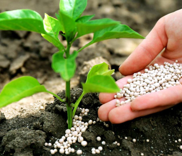 Мы предлагаем широкий ассортимент продукции: Пекасид Pekacid (Пекацид) . Прямые поставки от производителя, гарантии качества и доставка по всей Украине