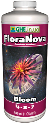 Flora Nova Bloom